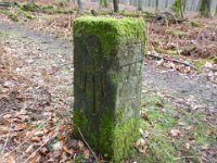 6  Saverne LE WASSERWALD 05 03 2017 46